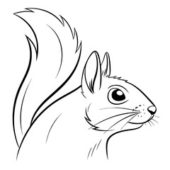 squirrel