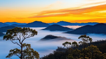 Obraz premium Serene Sunrise Over Misty Mountains in Vibrant Colors of Dawn