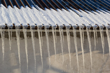 Sharp icicles and melted snow hanging from the eaves of the roof. Beautiful transparent icicles slowly gliding of a roof