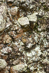 wall stone texture