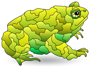 Obraz premium Illustration in the style of stained glass with toad , animal isolated on a white background