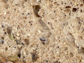 Whole Grain Seeded Bread Slice - Close-up