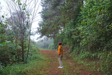 Fototapeta premium Rear view image of a woman walking into the forest