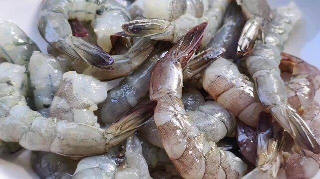 fresh shrimp on the market