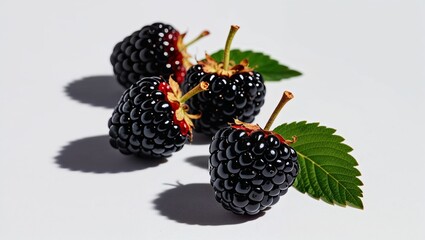 blackberry with leaf on white background