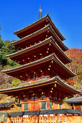 秋の長谷寺・五重塔（奈良県・桜井市）