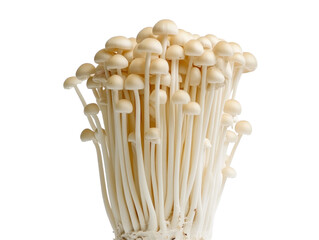 Fresh Enoki Mushrooms Isolated on Transparent Background
