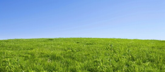 Obraz premium green hill under a clear blue sky showcasing a serene and expansive natural landscape perfect for outdoor activities.
