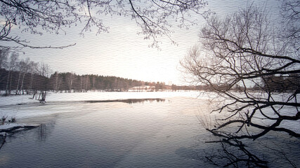 Serene winter scene with a lake and a tree branch