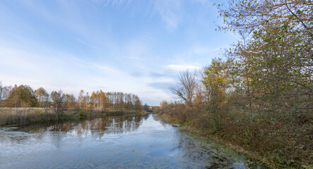 A calm river with trees in the background