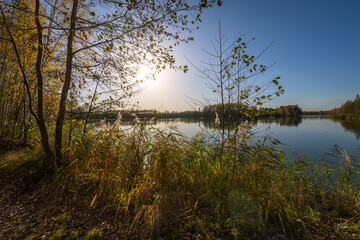 A beautiful lake with trees in the background