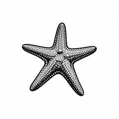 Obraz premium A starfish drawn with black lines. Black-and-white illustration.
