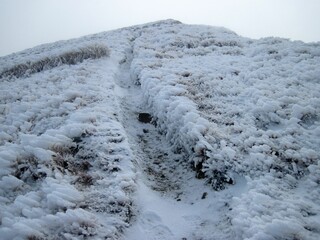 Serene winter landscape featuring a snow-covered path winding up a hill.