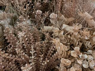 Christmas flower ornaments color brown