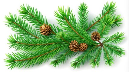 Set of realistic pine tree branches featuring evergreen elements perfect for winter holidays. Isolated fir twigs with vibrant green needles on a transparent background.