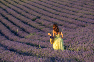 Lavender Fields Provence Woman; Yellow Dress; Summer Photography: Woman in yellow dress strolls...