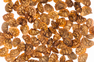 Sand-Esparsette, Onobrychis arenaia