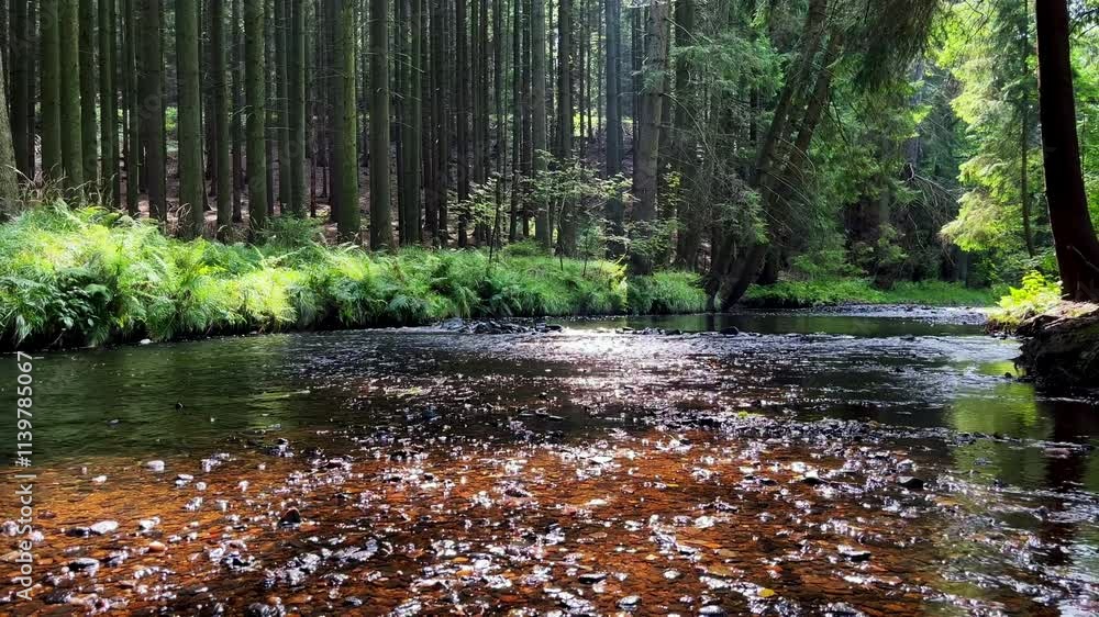 Aufkleber a serene stream flows through a lush green forest under sunlight, creating shimmering reflections on