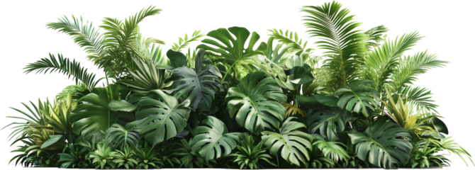 울창한 열대식물과 덤불