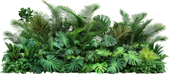 Obraz premium 울창한 열대식물과 덤불