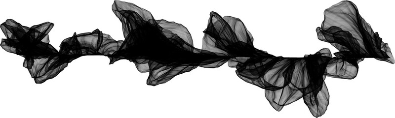 black and white wings