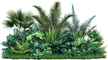 Obraz premium 울창한 열대식물과 덤불