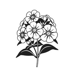 black and white flowers