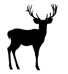 Silhouettes of deer on a white background