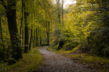 Wanderweg im mystischen, herbstlichen Polenztal in der Sächsischen Schweiz 7