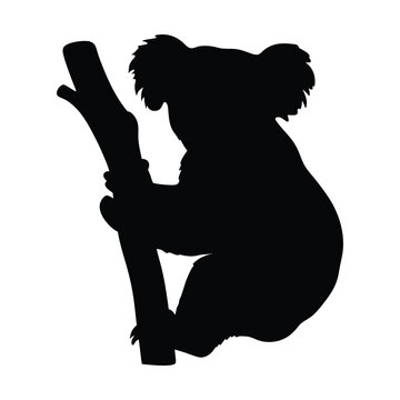 Koala black silhouette illustration isolated on a white background