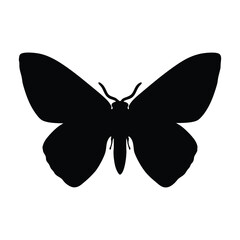 Moth insect black silhouette illustration isolated on a white background