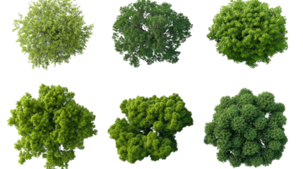 Aerial View Tree Collection:  A collection of six different green trees viewed from above, isolated on a white background. Perfect for design projects, landscaping, and environmental illustrations. 