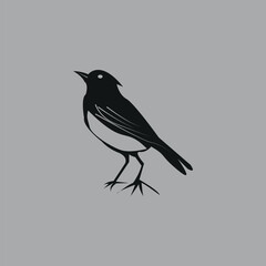 Magpie bird hand-drawn design by illustrator