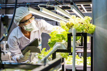 A person in protective gear tends to vibrant lettuce plants under grow lights in a controlled indoor farming environment. Hydroponics vertical farm for food security concept.