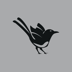 Magpie bird hand-drawn design by illustrator