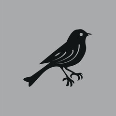 Magpie bird hand-drawn design by illustrator