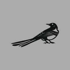 Magpie bird hand-drawn design by illustrator