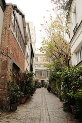 Naklejka premium Callejón de adoquines lleno de plantas en Francia