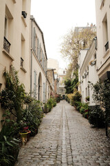 Callejón de adoquines lleno de plantas en Francia