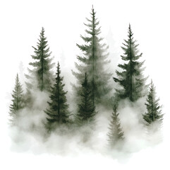 PNG Watercolor forest trees mist fog.
