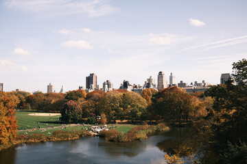 Vista del parque con edificios al fondo