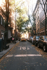 Vista de una calle de la ciudad de New York con árboles