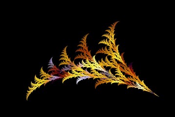 Computer generated fractal pattern and shape