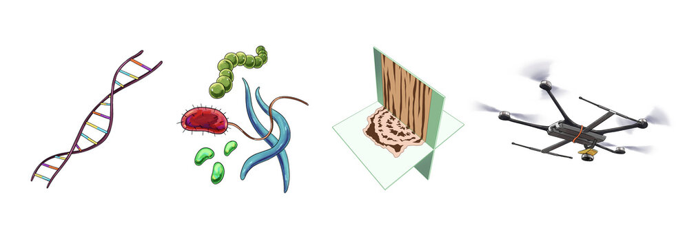 Forest scanning data, conceptual illustration