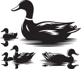 two ducks on a white