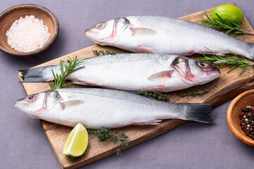 Raw sea bass fish photography . Top view