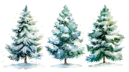 Obraz premium Set of Watercolor Christmas tree, isolated on a white background, Christmas tree painting. Merry Christmas