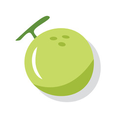 Melon fresh fruit illustration. Agriculture product. Whole fruit. Vector fruit.