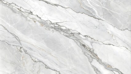 Fototapeta premium A high-resolution photostock image of a detailed white and gray marble texture.