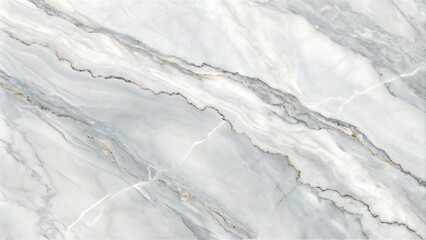 Fototapeta premium A high-resolution photostock image of a detailed white and gray marble texture.